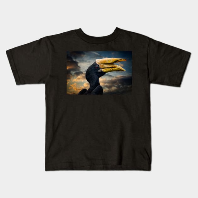 Rhinoceros Hornbill Kids T-Shirt by Adrian Evans Photography